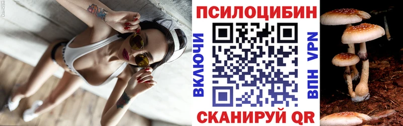 ОМГ ОМГ онион  как найти   Советская Гавань  Галлюциногенные грибы GOLDEN TEACHER 