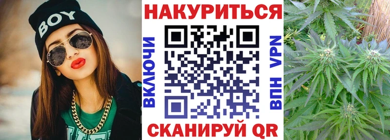 Шишки марихуана план хочу наркоту Советская Гавань